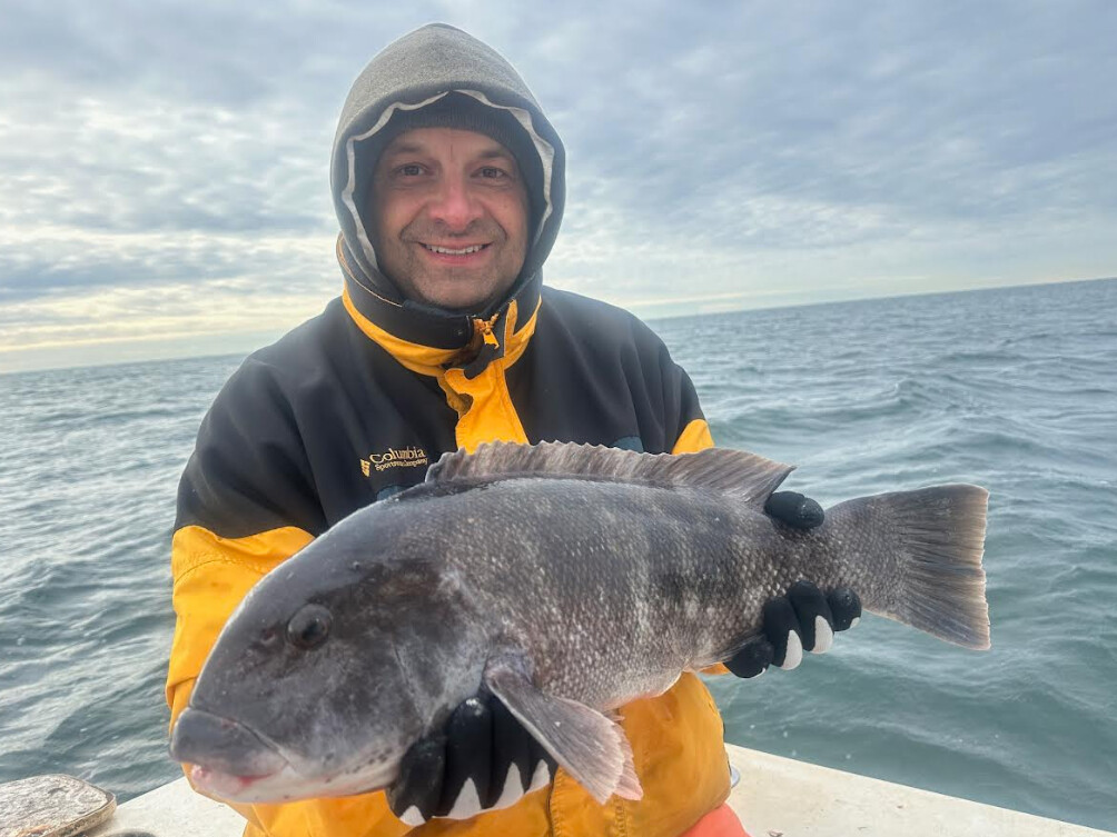 Resized feature 11-11-25